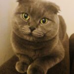 WhatsApp Bild 2024-10-01 um 10.03.20_d68cd4d6